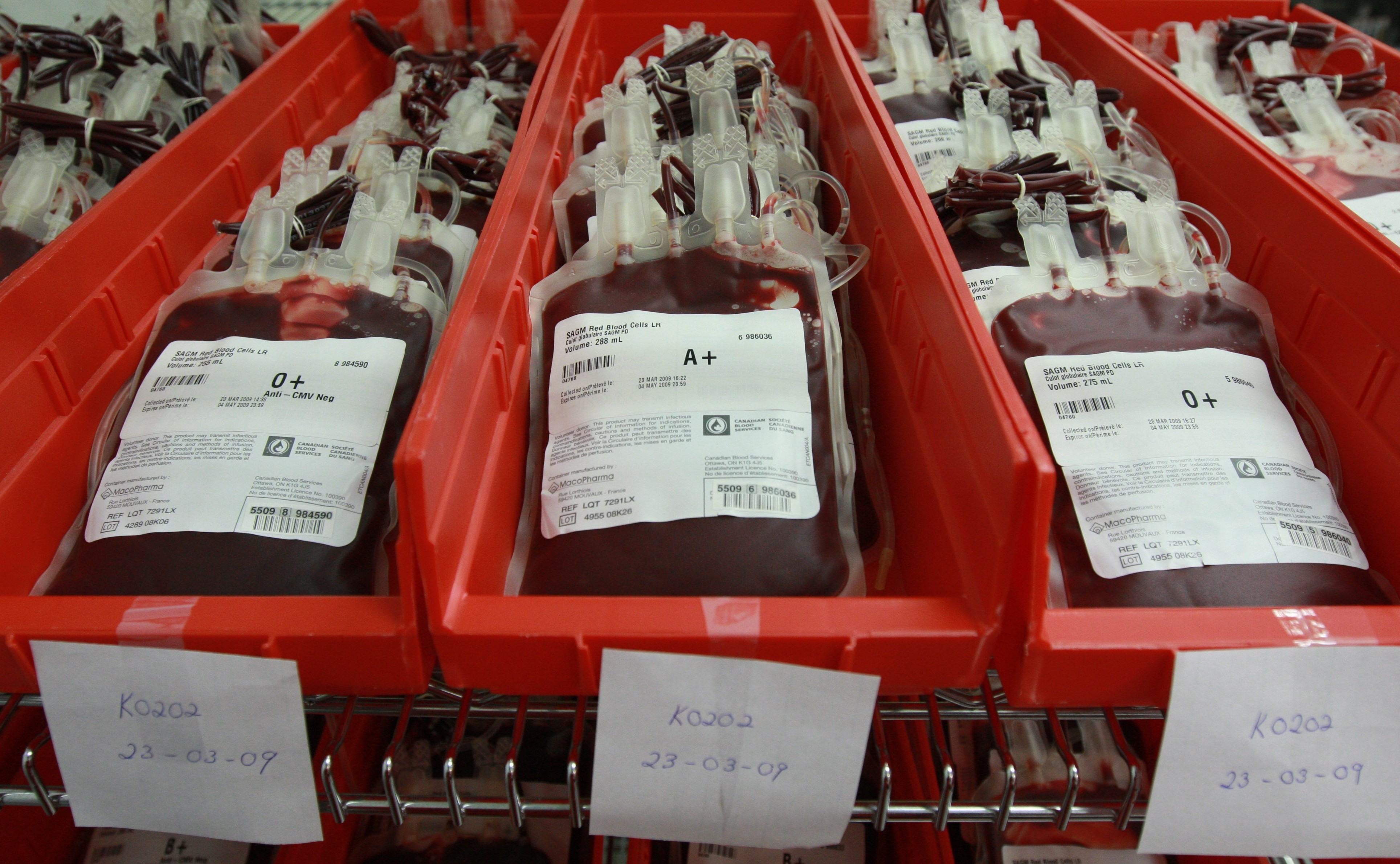 kaedah pengurusan darah yang diderma dari segi penyimpanan dan penstoran.